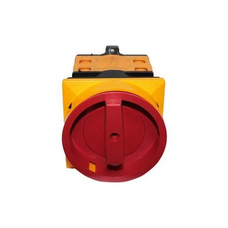 Opaş 4x40A 0-1 Aç-Kapa Kilitli Pako Şalter - YKL401040 - Resim 3