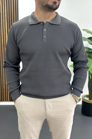 Erkek Slim Fit Desenli Polo Yaka Kazak Gri Edw426 ürün görseli