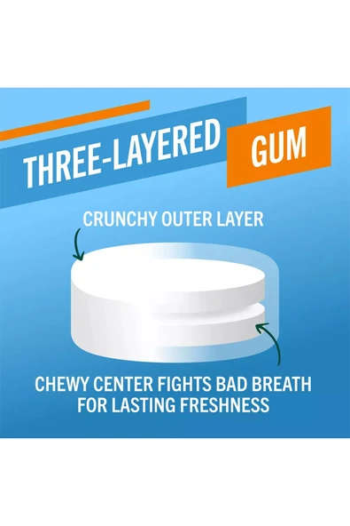 Thera Breath Icy Mint Nefes Ferahlatıcı Çiğneme Tableti 24 Adet - 3