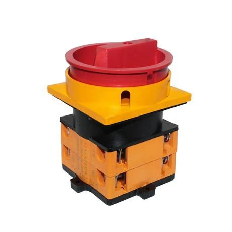 Opaş 4x40A 0-1 Aç-Kapa Kilitli Pako Şalter - YKL401040 - Resim 2