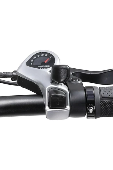 Ape Ryder A10 Iki Kişilik Elektrikli Bisiklet - 4