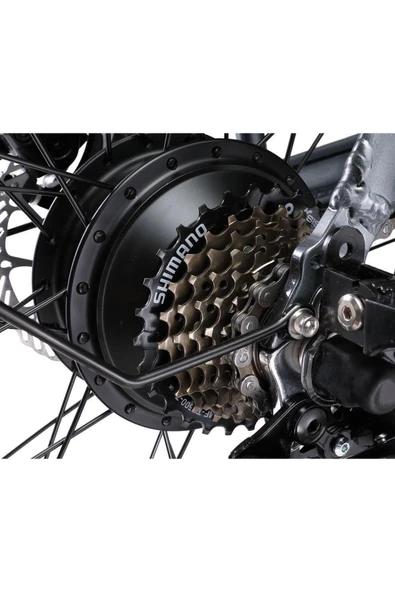 Ape Ryder A10 Iki Kişilik Elektrikli Bisiklet - 3