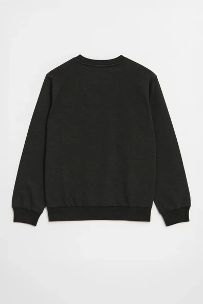 Erkek Bisiklet Yaka Düz Antrasit Sweatshirt - Resim 5