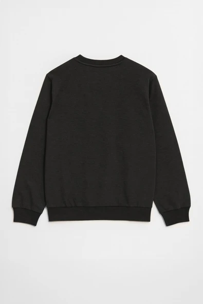 Erkek Bisiklet Yaka Düz Antrasit Sweatshirt - Resim 3