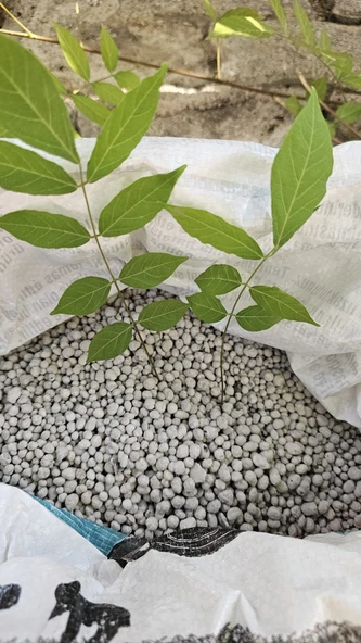 Kış Gübresi 5-20+%20Kükürt NPK Perfetto Toprak Altı Taban Gübresi 5 Kg - 2