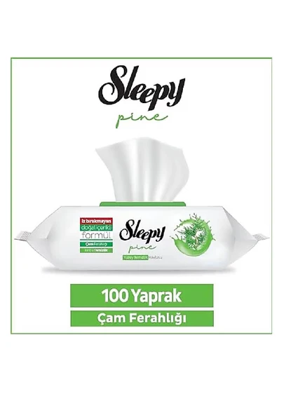 Sleepy Yüzey Temizlik Havlusu 100lü - Çam Ferahlığı ürün görseli