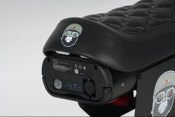 Ape Ryder Gibbon Elektrikli Bisiklet - 5