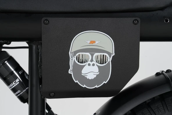 Ape Ryder Gibbon Elektrikli Bisiklet - 11