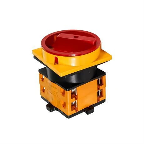 Opaş 2x63A 1-0-2 Kilitli Kutup Değiştirici Pako Şalter - YKL205063 - Resim 2