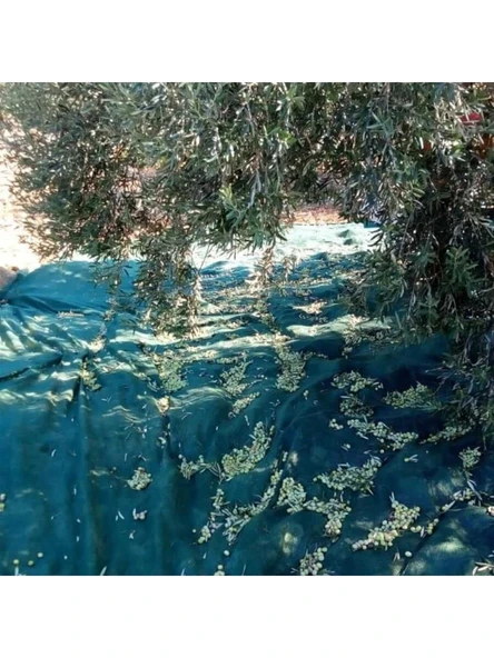 Titanium Zeytin Toplama Filesi 75'Lik 6*8 Metre Gölgelik File - Yeşil - Sergenlik - Zeytin Sergisi - Zeytin Yaygısı ürün görseli
