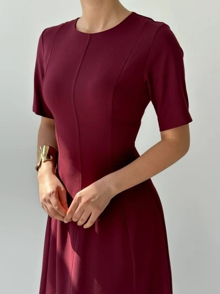 Wera Pliseli Midi Elbise - Resim 5