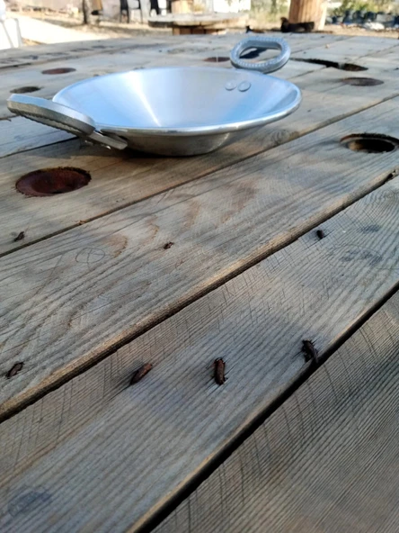 Aluminyum Sac Tava Kulplu Kapaksız - Resim 5