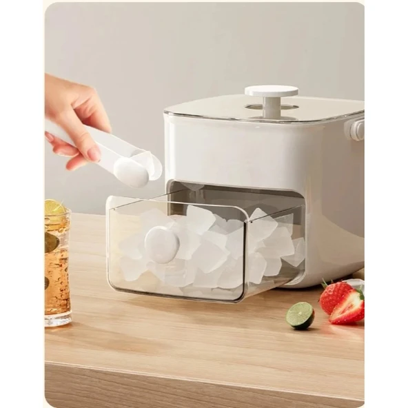 Buz Kalıp Ve Saklama Kutusu - Resim 4