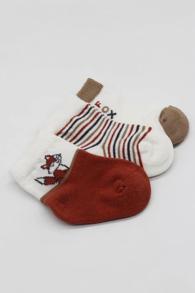NessiWorld 3'Lü Penye Soket Çorap BS10109 Kiremit - Resim 4