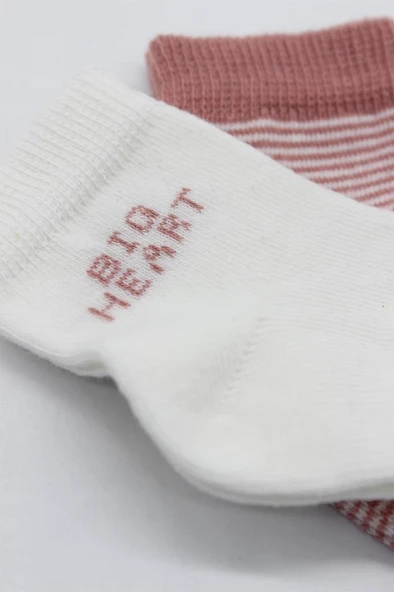 NessiWorld Big Heart Penye Soket Çorap 2'Li BS10117 Pudra - Resim 4