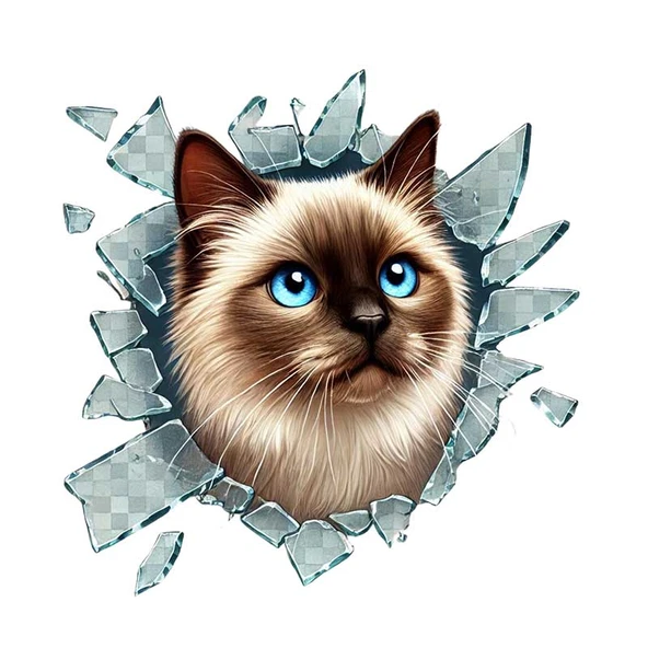 Fulcar Siamesse Araç Stickerı - Resim 2