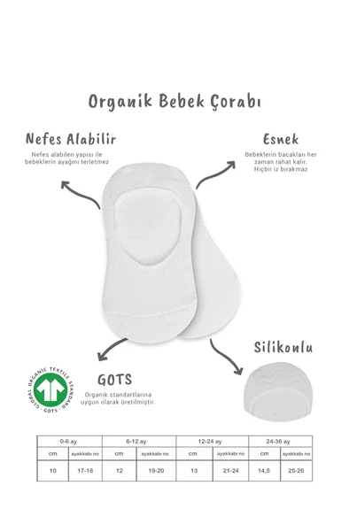 NessiWorld 2'Li Penye Babet Silikonlu Basic Çorap 30104 Gri Beyaz - Resim 2