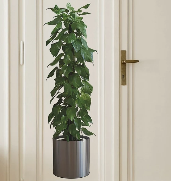 SaNessiWorldılı Bitki Tasarımlı Yapışkanlı Sticker Resim 90*30 cm MC-665 - Resim 2