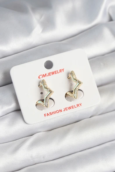 Pirinç Gold Renk Yıldız Model Kadın Küpe - TJ-BKP11243 ürün görseli 1