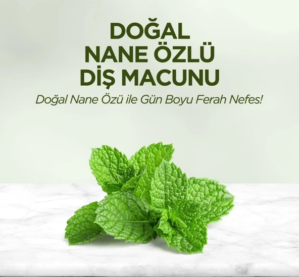 Doğal Diş Macunu 90 Gr Nane Özlü - Resim 4