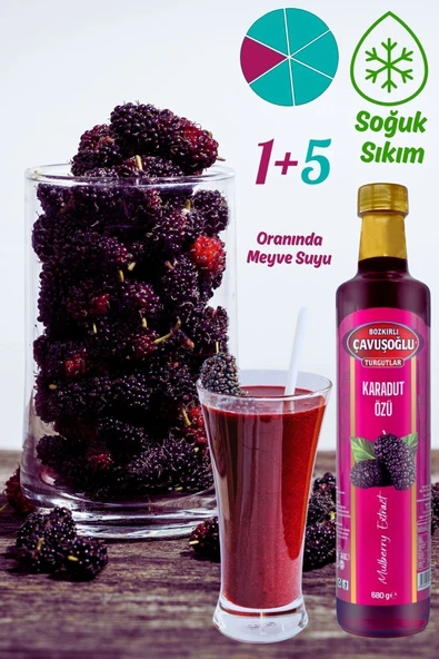 Doğal ve Katkısız Karadut Özü 680g - 3