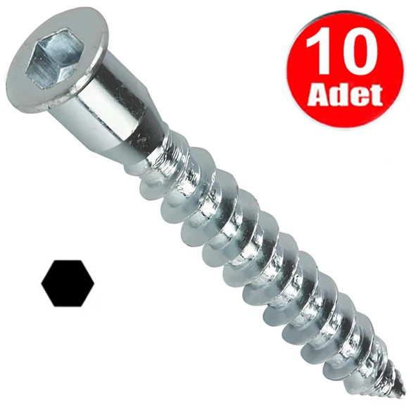 Alyan Başlı Kabin Vidası 5cm  Mobilya Tv Ünite Dolap Sehpa Montaj Birleştirme Vida Aparatı -10 Adet