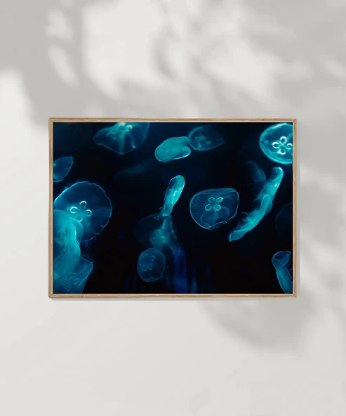 Deniz Hayvanları Poster - Resim 4