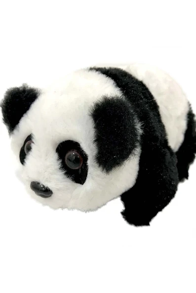 Kutulu Pilli Panda 1131 - Resim 3