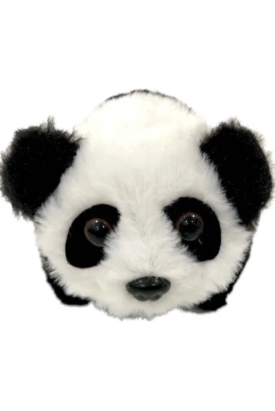 Kutulu Pilli Panda 1131 - Resim 2