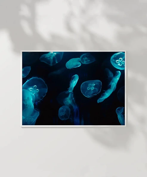 Deniz Hayvanları Poster - Resim 3