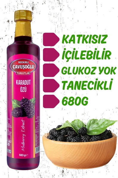 Doğal ve Katkısız Karadut Özü 680g - 4