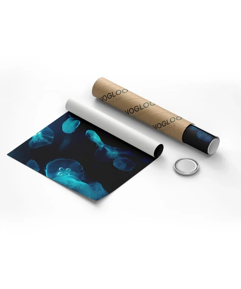 Deniz Hayvanları Poster - Resim 8