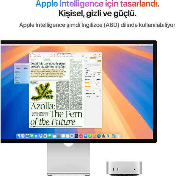 Apple Mac Mini MU9D3TU/A Apple M4 16 GB 256 GB SSD Mini PC - 5