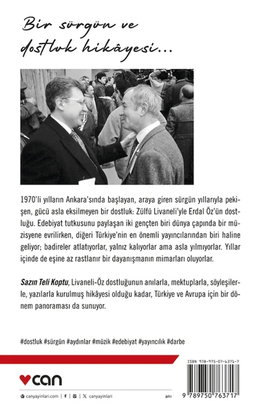 Sazın Teli Koptu - Resim 3