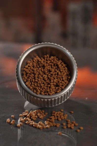 Beton Kedi ve Köpek Mama/Su Kabı | Devrilmeye Dayanıklı, Paslanmaz Çelik Kaseli - Resim 3