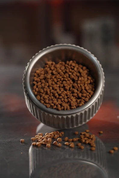 Beton Kedi ve Köpek Mama/Su Kabı | Devrilmeye Dayanıklı, Paslanmaz Çelik Kaseli - Resim 4