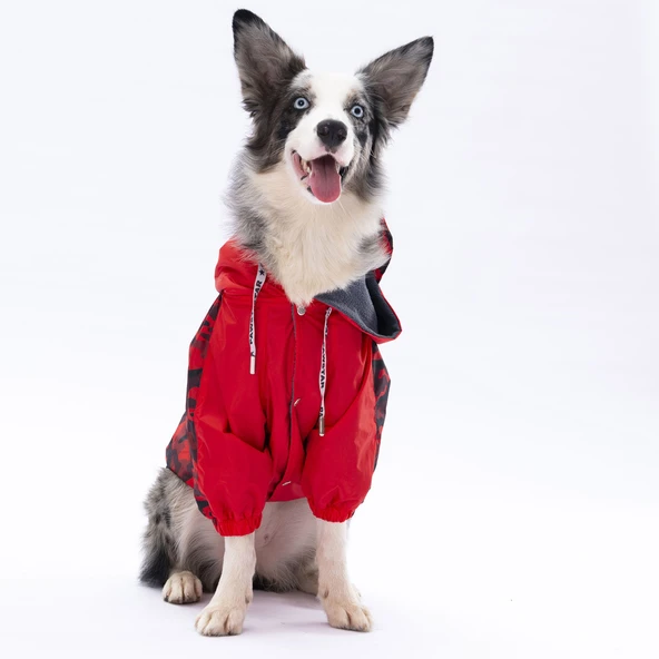 Pawstar Kırmızı Dijon Polarlı Su Geçirmez Orta-Büyük Irk Köpek Yağmurluğu - Resim 6