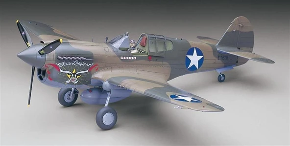 Hasegawa ST29 8879 1/32 Ölçek, P-40E Warhawk, Savaş Uçağı Plastik Model Kiti - Resim 2