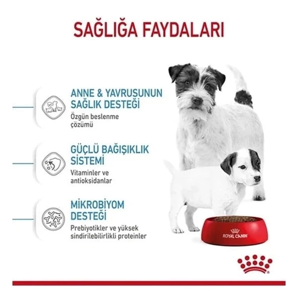Royal Canin Mini Starter Anne ve Yavru Köpek Maması 4 Kg - 2