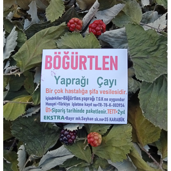 Böğürtlen Yaprağı Bitki Çayı 20 G - 3