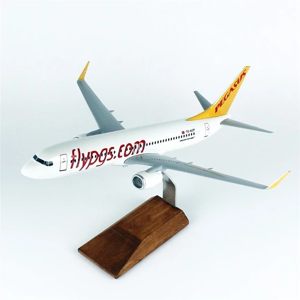 THY043 1/100 Ölçek, Pegasus B737-800 Yolcu Uçağı, Sergilemeye Hazır Ahşap Standlı Model - Resim 2