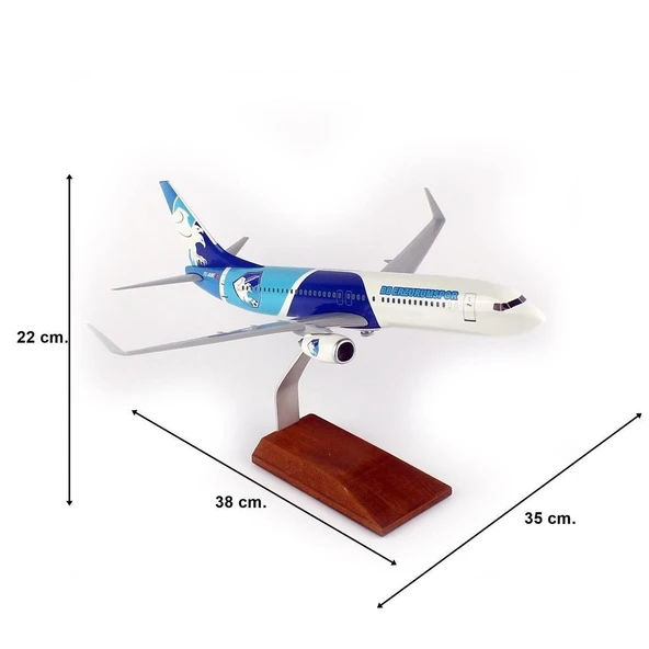 THY050 1/100 Ölçek, THY Erzurum Spor Logolu B737-800 Yolcu Uçağı, Sergilemeye Hazır Ahşap Standlı Model - Resim 5
