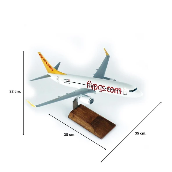 THY043 1/100 Ölçek, Pegasus B737-800 Yolcu Uçağı, Sergilemeye Hazır Ahşap Standlı Model - Resim 5