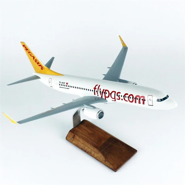 THY043 1/100 Ölçek, Pegasus B737-800 Yolcu Uçağı, Sergilemeye Hazır Ahşap Standlı Model ürün görseli