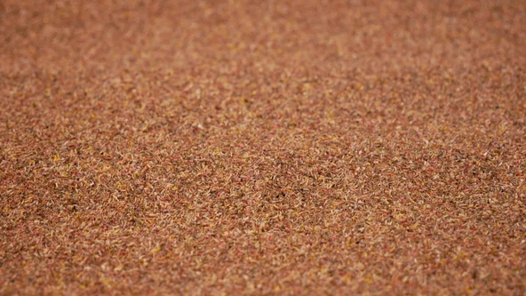 Noch 090 Toprak ve Kuru Yaprak Dokulu Arazi Yüzeyi Kaplaması, 120x60 cm. Diorama Malzemesi - Resim 3