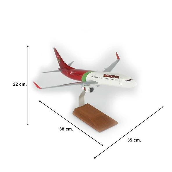 THY036 1/100 Ölçek, THY Hatay Spor Logolu B737-800 Yolcu Uçağı, Sergilemeye Hazır Ahşap Standlı Model - Resim 5