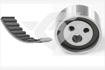 HUTCHINSON KH07 EKSANTRİK GERGİ KİTİ RENAULT CLIO I 90>98 R19 88>95 MEGANE I 96>99 095x170 1.2-1.4-1.6 7701472726-7701469833-1307700QAD ürün görseli 1