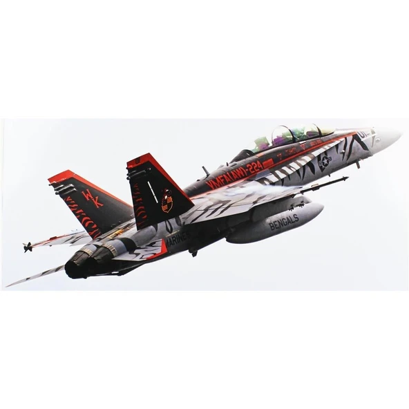 Hasegawa 7545 1/48 Ölçek, F/A-18 D Hornet -VMFA(AW)-224 Bengals 2024, Savaş Uçağı Plastik Model Kiti ürün görseli