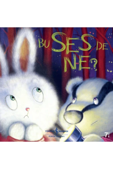 Iş Kültür Yayınları - Bu Ses De Ne? ürün görseli