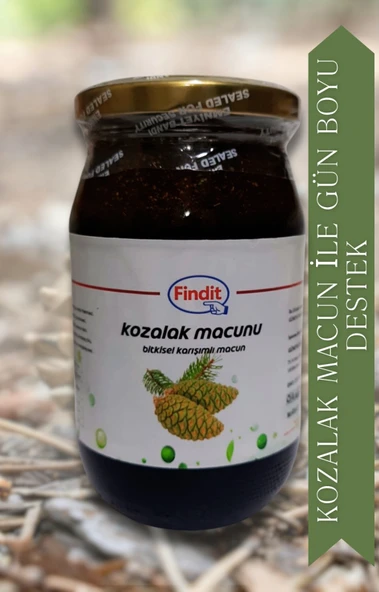 Kozalak Bitkisel Karışımlı Macun Doğal Güç ve Direnç Desteği ürün görseli